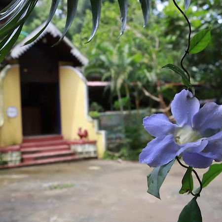 Phoenix Castle House Palolem Canacona Esterno foto