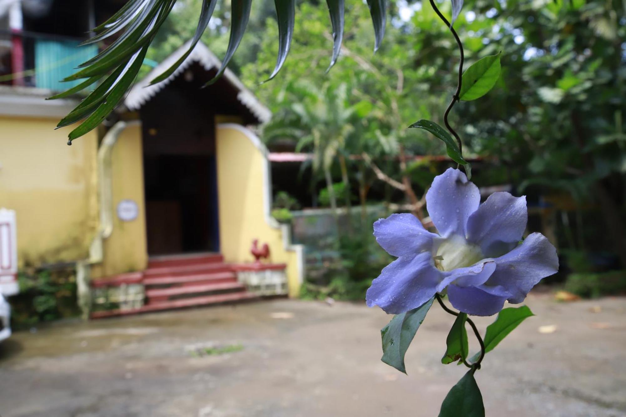 Phoenix Castle House Palolem Canacona Esterno foto